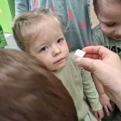 ZŻM - najnowsze zdjęcia