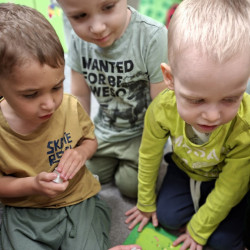 ZŻM - najnowsze zdjęcia